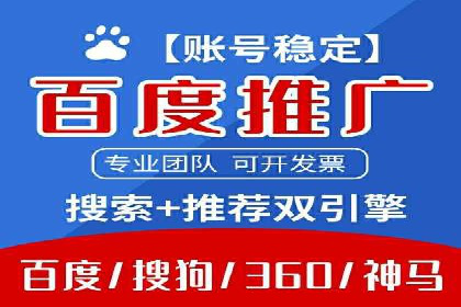 SEM投放策略优化案例分析