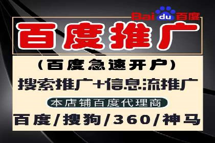 百度推广案例：成功打造行业领军品牌